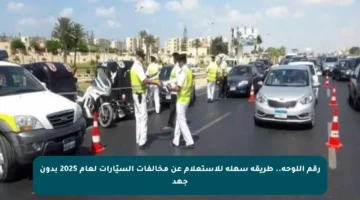 رقم اللوحة.. طريقة سهلة للاستعلام عن مخالفات السيّارات لعام 2025 بدون جهد